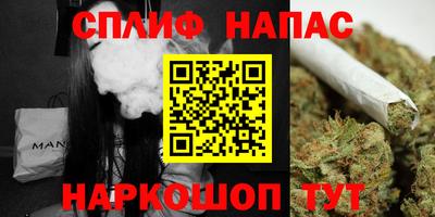 дурь Камышлов