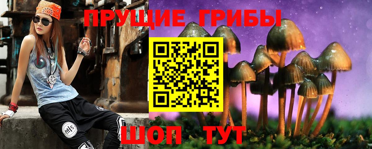 Псилоцибиновые грибы GOLDEN TEACHER Ухта
