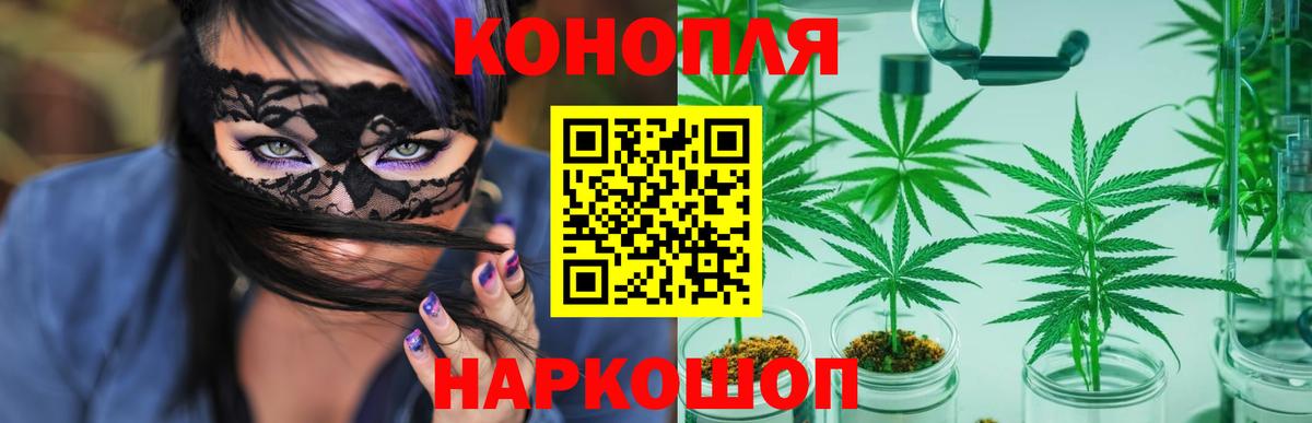 Шишки марихуана план Ухта